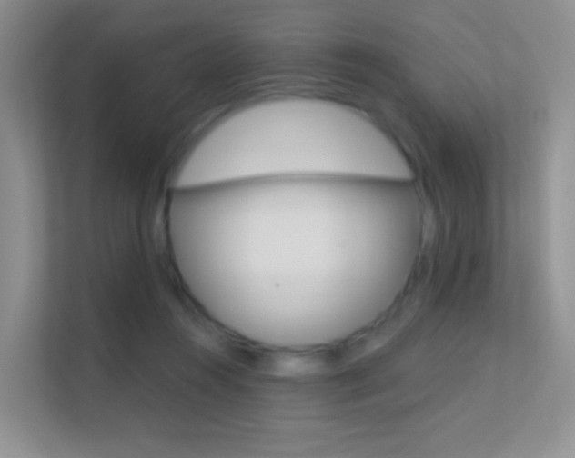 X0000112420360200908141050