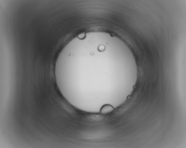 X0000112420361200908141050