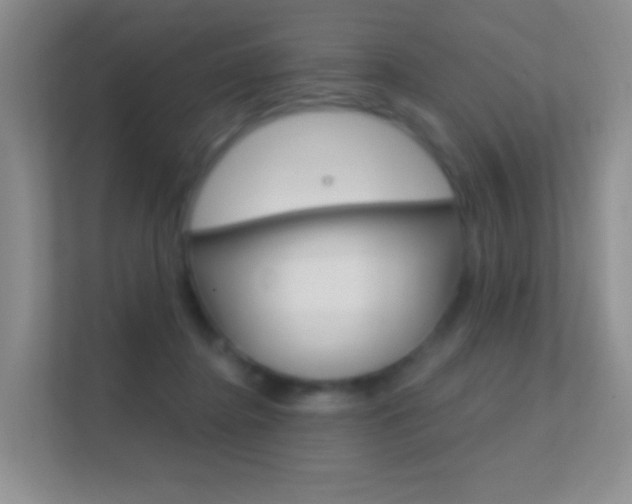 X0000112420364200908141050