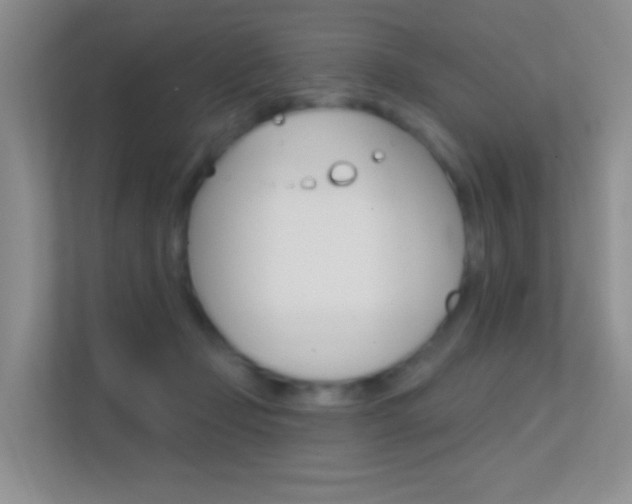 X0000112420365200908141050