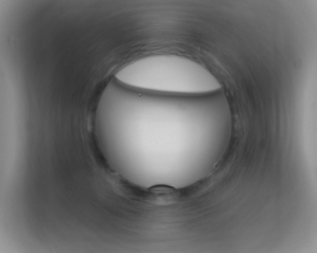 X0000112420368200908141050