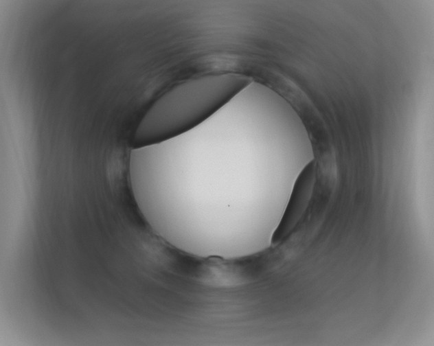 X0000112420372200908141050