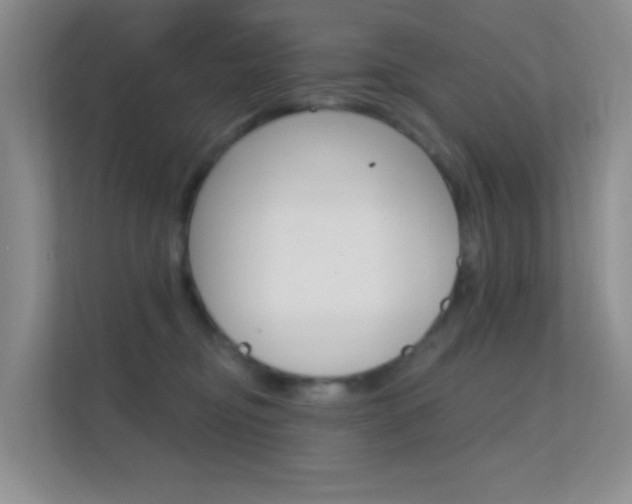 X0000112420374200908141050