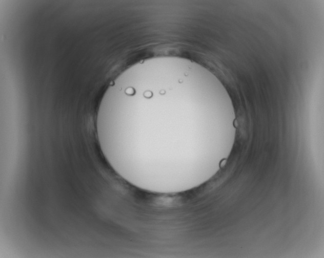 X0000112420375200908141050