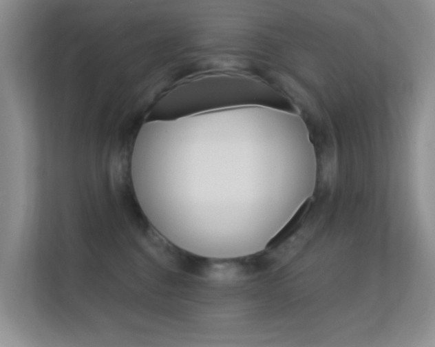 X0000112420376200908141050