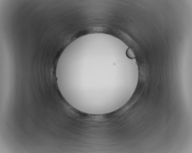 X0000112420377200908141050