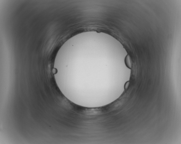 X0000112420378200908141050