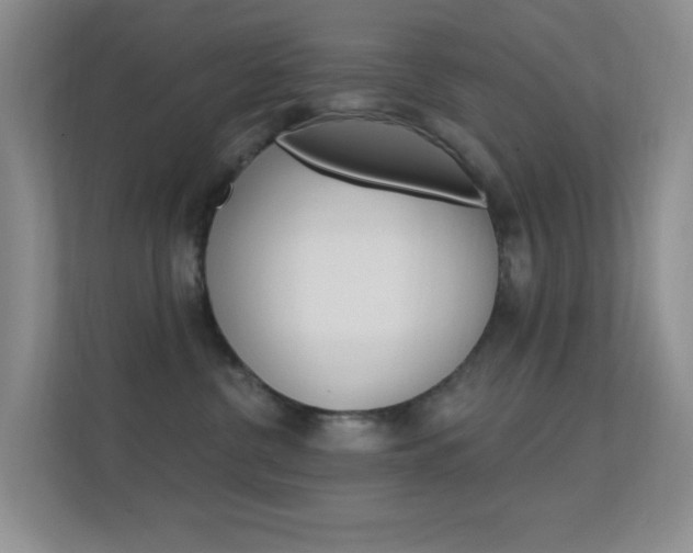X0000112420380200908141050