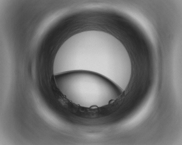 X0000112420382200908141050