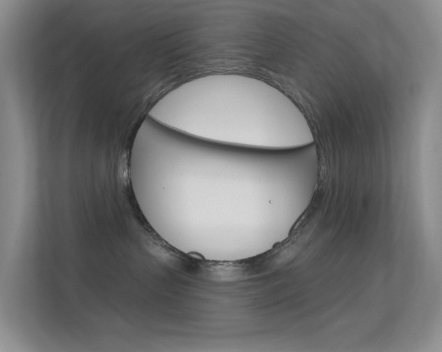 X0000112420383200908141050