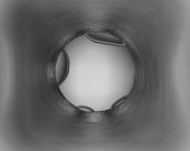 X0000112420384200908141050