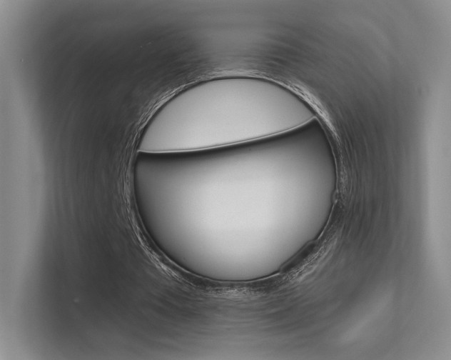 X0000112420385200908141050