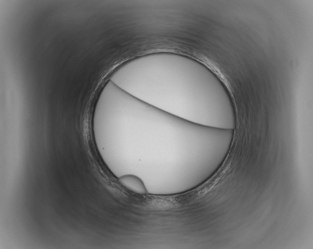 X0000112420386200908141050