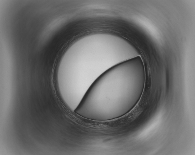 X0000112420387200908141050