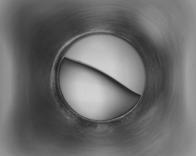 X0000112420388200908141050