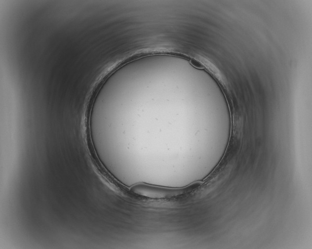 X0000112420389200908141050