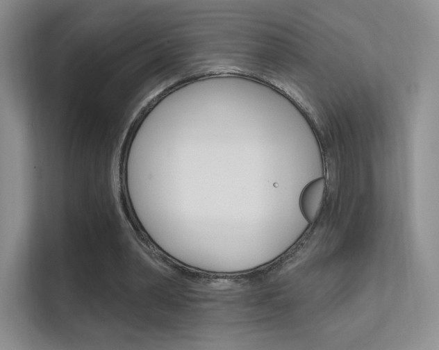 X0000112420390200908141050