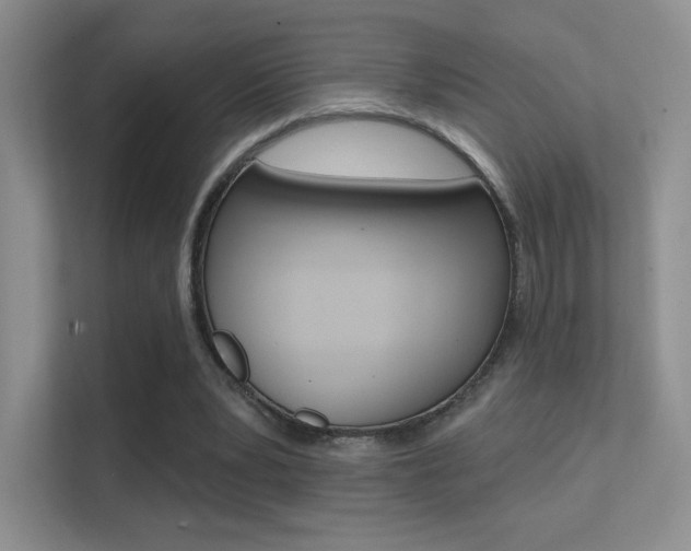 X0000112420391200908141050