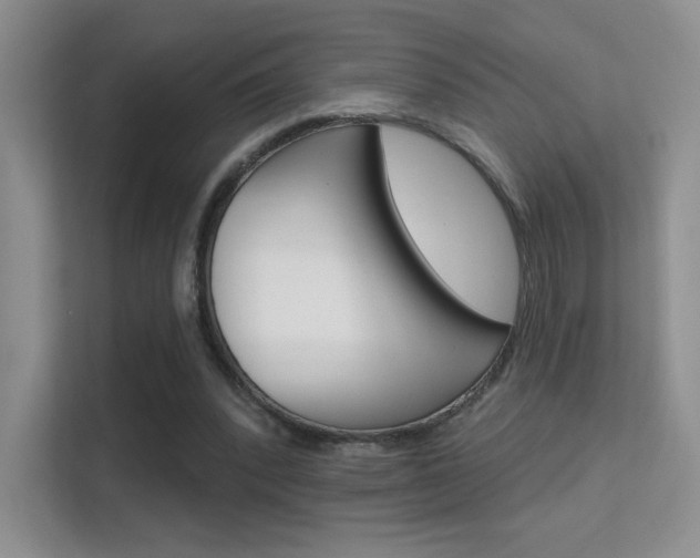 X0000112420392200908141050