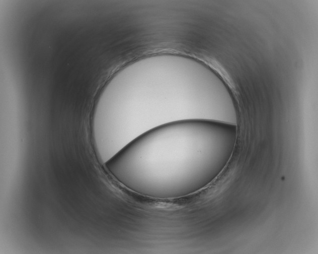 X0000112420393200908141050