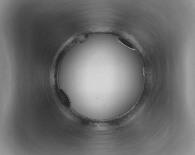 X0000112420395200908141050