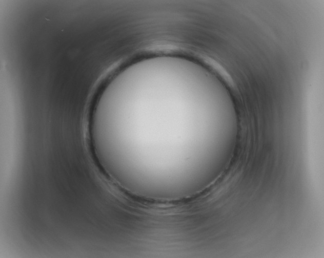 X0000112420399200908141049