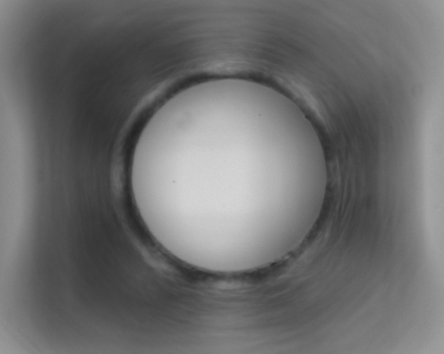 X0000112420400200908141049