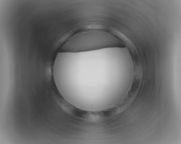 X0000112420405200908141049