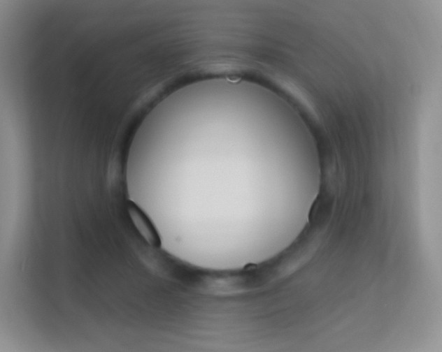 X0000112420407200908141049