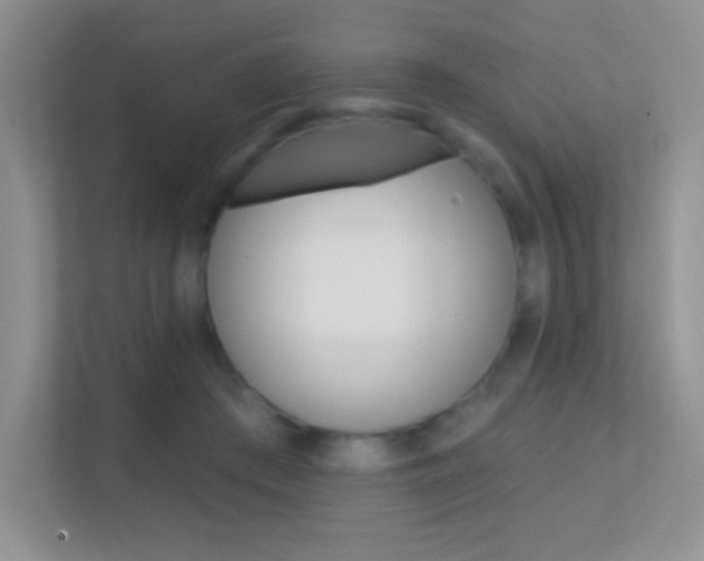 X0000112420409200908141049