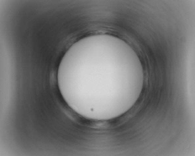 X0000112420410200908141049