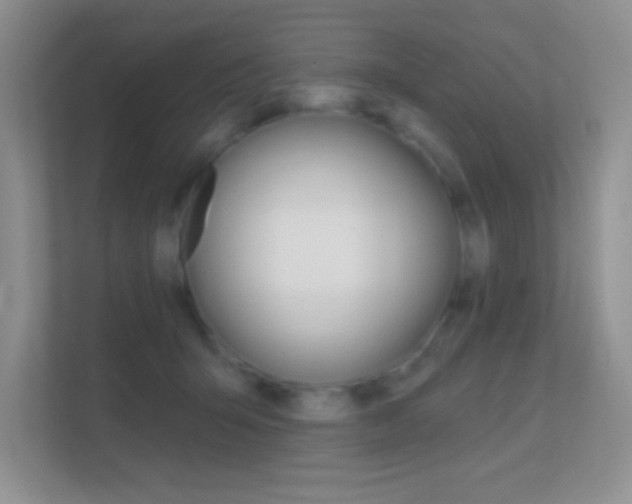 X0000112420415200908141049