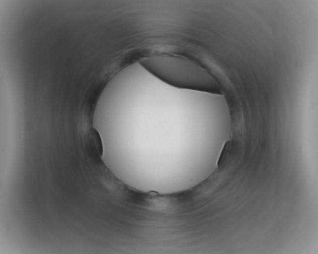 X0000112420417200908141049