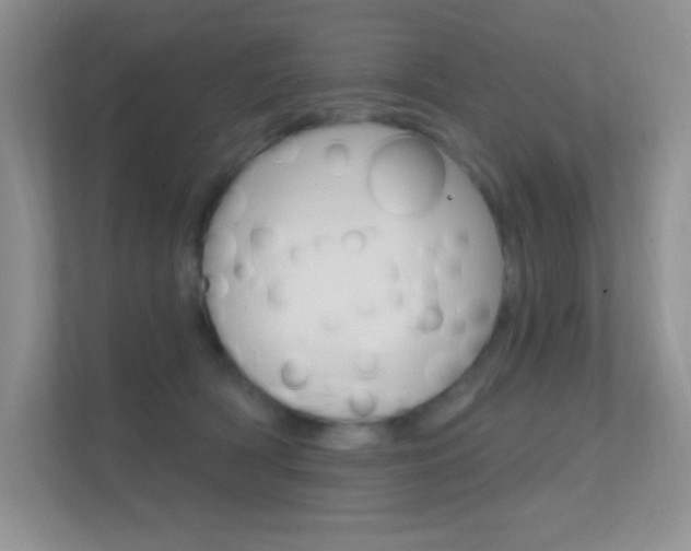 X0000112420418200908141049