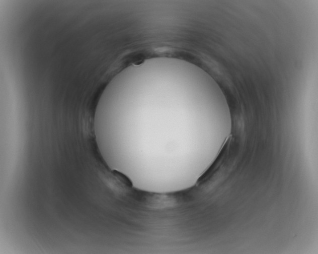 X0000112420421200908141049