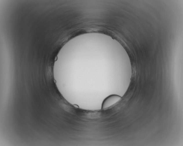 X0000112420426200908141049