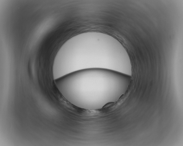 X0000112420429200908141049