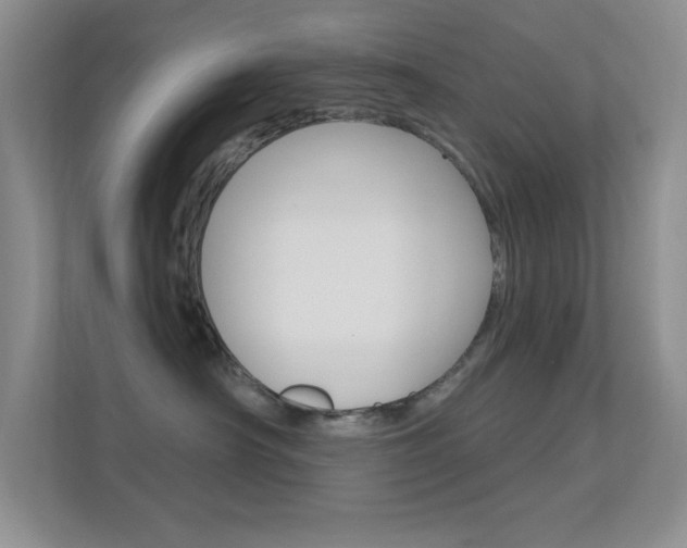 X0000112420430200908141049
