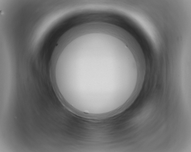 X0000112420431200908141049
