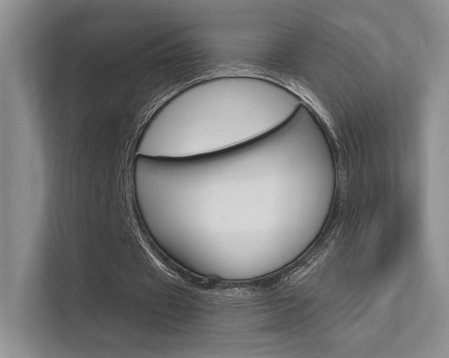 X0000112420433200908141048