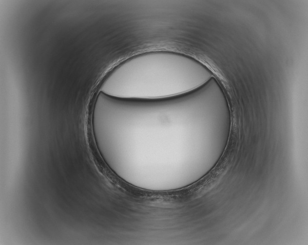 X0000112420434200908141048