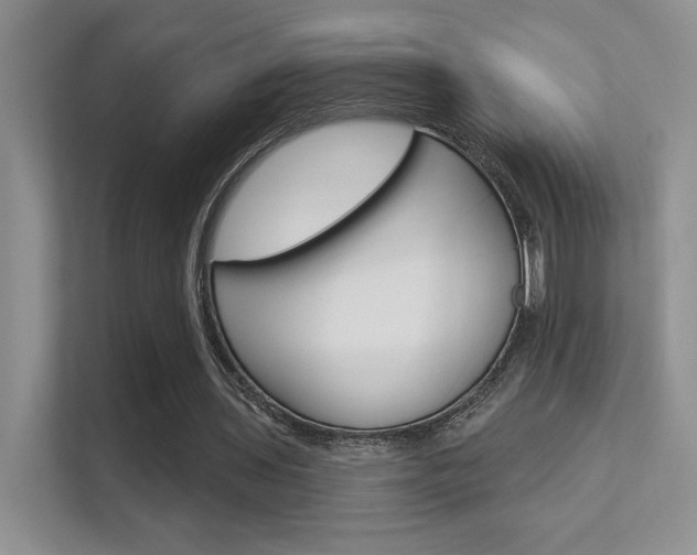 X0000112420435200908141048