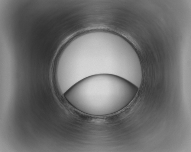 X0000112420440200908141049