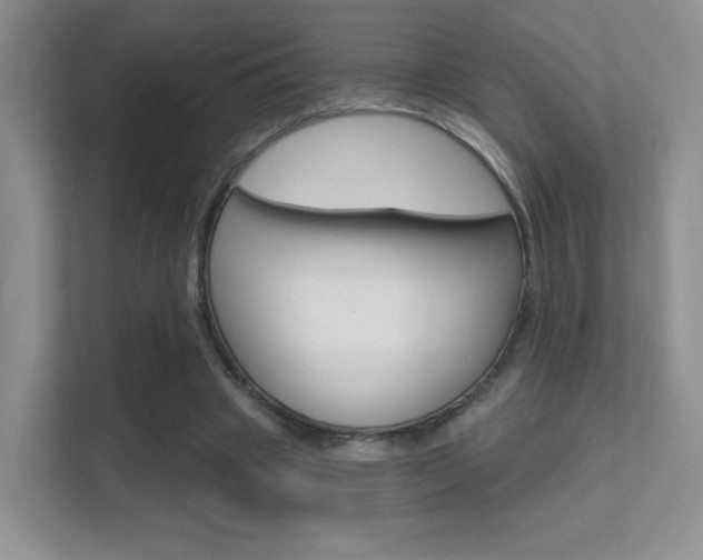 X0000112420441200908141049