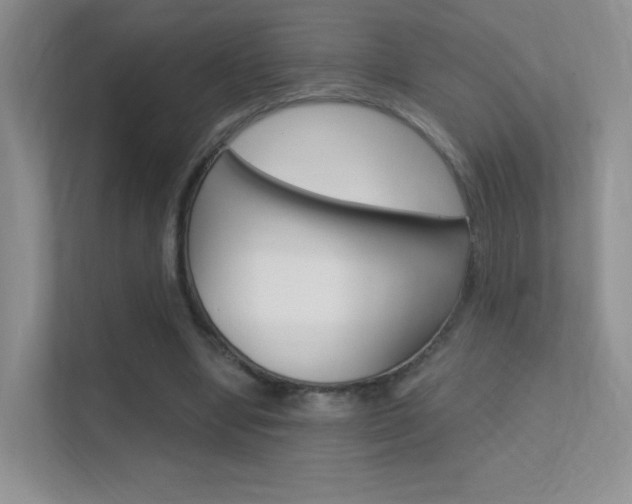 X0000112420442200908141049