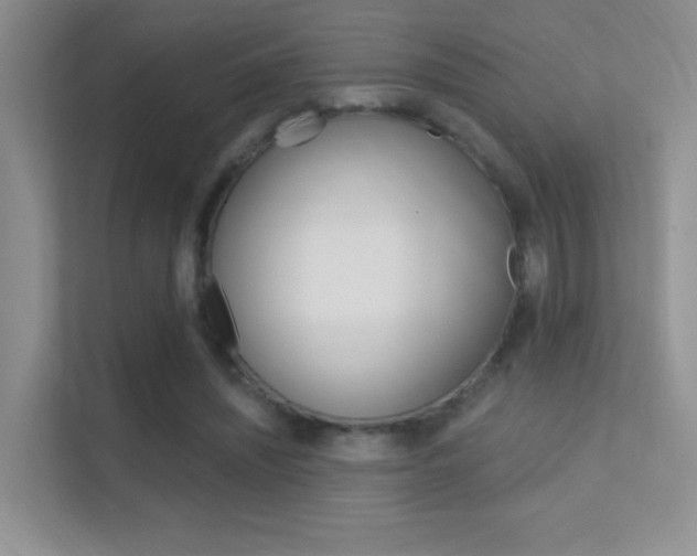 X0000112420444200908141049