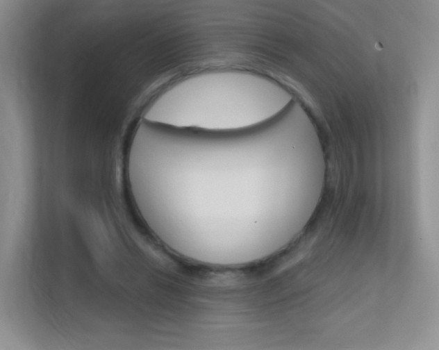 X0000112420446200908141049