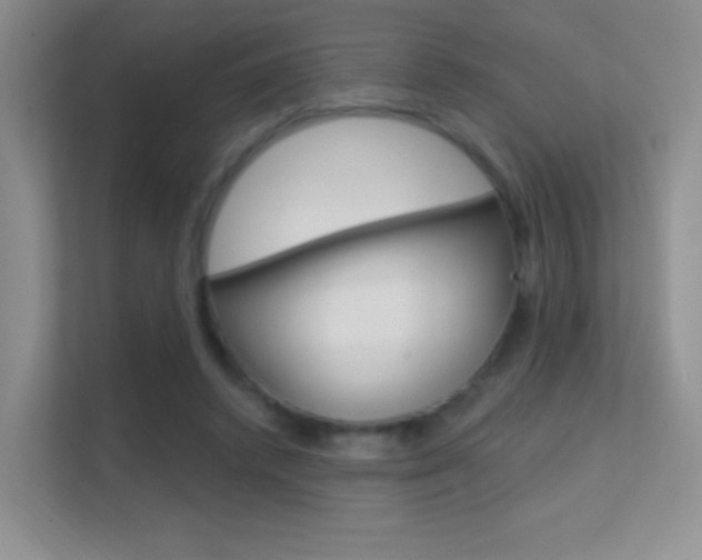 X0000112420448200908141049