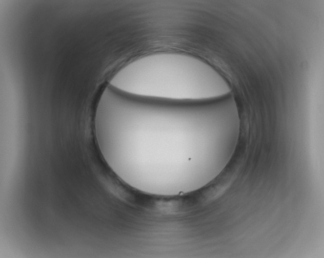 X0000112420450200908141049