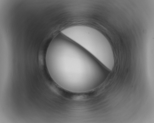 X0000112420452200908141049
